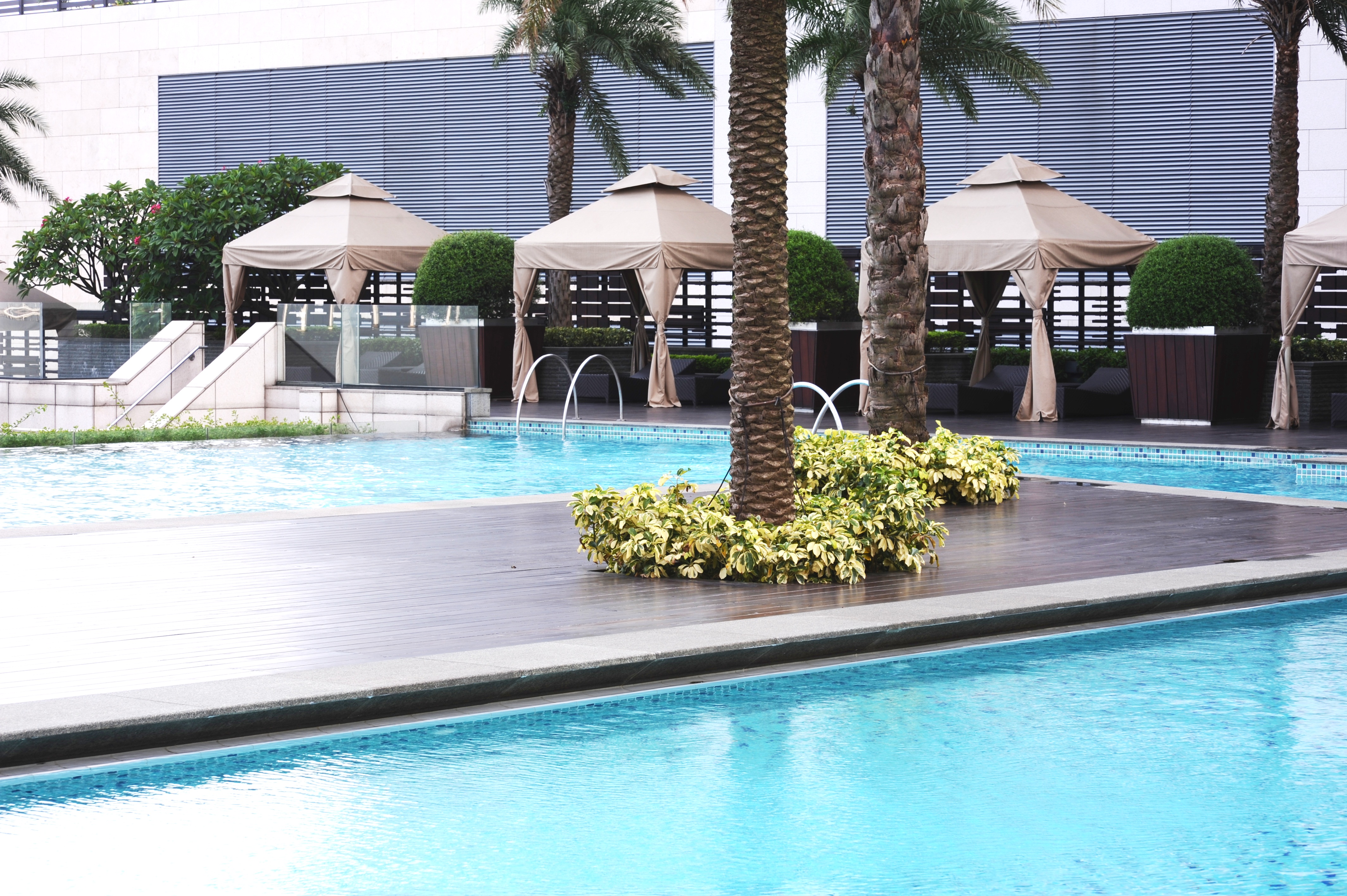 MGM Macau: Swimming Pool