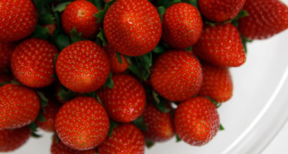 澳门美高梅 见证草莓奇迹